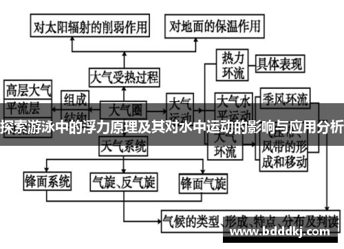 探索游泳中的浮力原理及其对水中运动的影响与应用分析